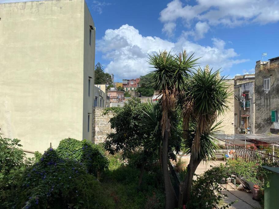 Casa Vacanze Rione Sanita ナポリ エクステリア 写真